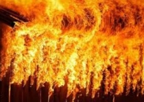 آتش‌سوزی سرخه‌حصار خارج از محدوده پارک ملی بوده است