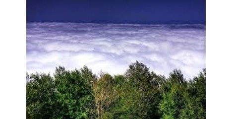 جنگل ابر برگ برنده گردشگری سمنان