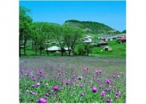 ارسال پرونده هیرکان برای ثبت جهانی به یونسکو