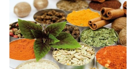 تداخل طب سنتی با میراث گذشتگان عامل عدم گرایش به گیاهان دارویی