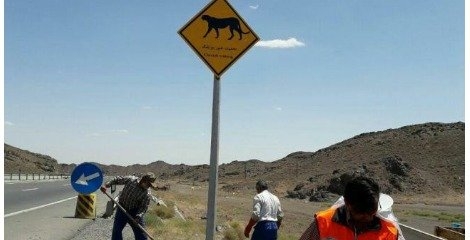 تابلوها به کمک یوزپلنگ ها آمدند تابلوها به کمک یوزپلنگ ها آمدند