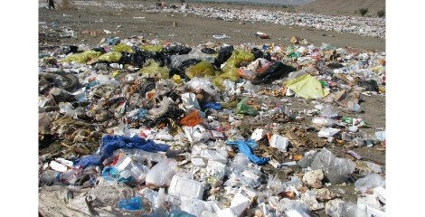 97 درصد زباله رها شده و تنها 3 درصد مورد توجه است