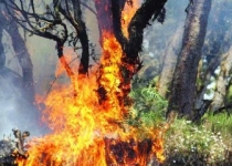 آتش سوزی مراتع ترکمنستان به مناطق حفاظت شده شیروان رسید