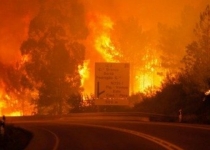 اعلام وضعیت اضطراری در لس‌آنجلس در پی آتش‌سوزی طبیعی  