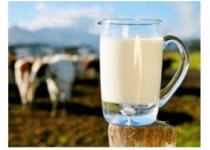بررسی مزایایی شیر ارگانیک