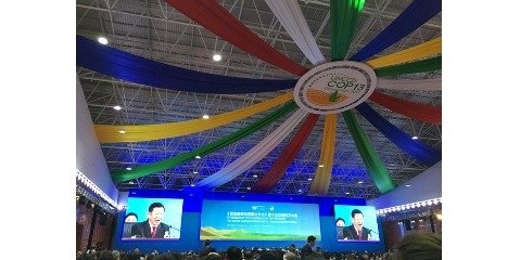 برگزاری کنفرانس جهانی بیابان زدایی در چین