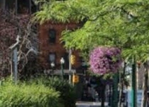 سودآوری 500 میلیون دلاری درختان برای ابرشهرها