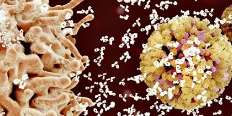 تولید یک آنتی بادی قدرتمند برای مبارزه با اچ‌آی‌وی