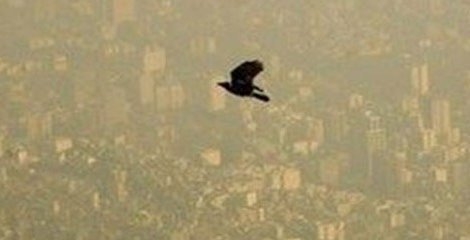 مردم برای کاهش آلودگی هوای تهران دست به دست هم دهند مردم برای کاهش آلودگی هوای تهران دست به دست هم دهند