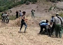 سناریویی که می‌خواهد گلستان را به زباله‌دان تبدیل کند