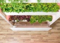 طراحی مزرعه های کوچک خانگی برای پرورش سبزیجات