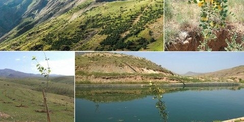 اجرای طرح کاداستر در ۱ میلیون هکتار از اراضی تهران