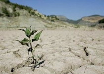 عینک تار مسئولان برای نگاه به طبیعت