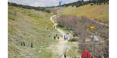 توسعه فضای سبز پارک پردیسان در اولویت شهرداری قرارگیرد توسعه فضای سبز پارک پردیسان در اولویت شهرداری قرارگیرد