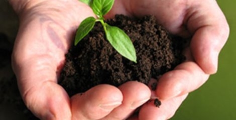 افزایش سلامتی و نجات آینده بشر با کمک محصول‌های ارگانیک