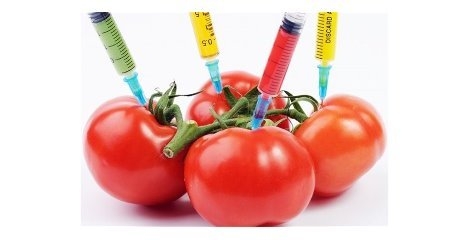 دلهره طرفداران "تراریخته GMO" از تصمیم اتحادیه اروپا