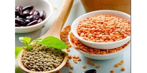  آمریکا تولید غلات ارگانیک خود افزایش می دهد 