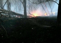 مهار آتش سوزی در جنگل ابر شاهرود
