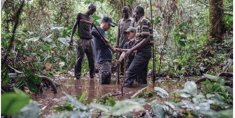 مرداب های آبخیز کنگو، خط مقدم جدید تغییر اقلیم