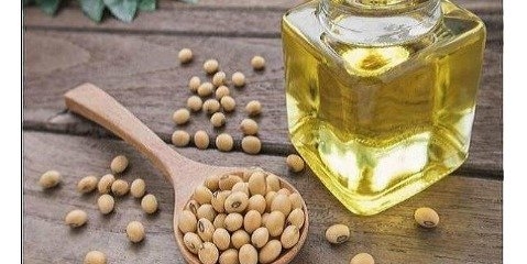 ارزش غذایی روغن سویای تراریخته بالاتر از روغن های گیاهی