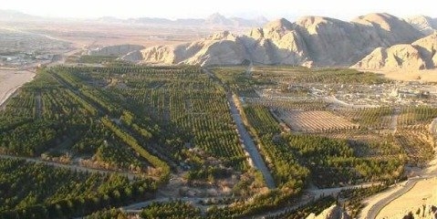 طرح جامع تنفس جنگل در حال اجراست