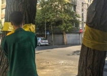 راهکار شورای شهر برای معضل مگس‌های سفید تهران