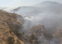 آتش سوزی زنجیره ای در جنگل های نوشهر