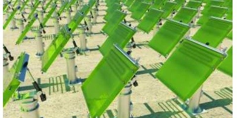 تقویت باتری‌های خورشیدی با ریزجلبک‌ها