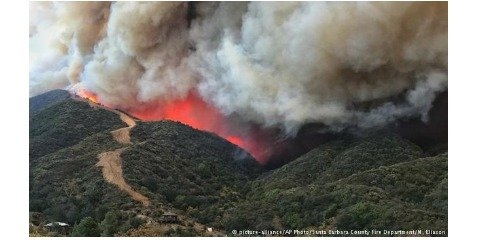 15هکتار از جنگل‌های آمل در آتش سوخت