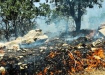 پایان آتش‌سوزی در جنگل‎های آمل با بارش باران