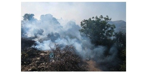 آخرین وضعیت آتش‌سوزی در جنگل‌های آمل
