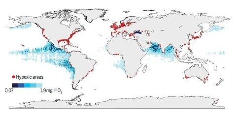تغییر اقلیم مناطق کشنده اقیانوس را چهار برابر کرد