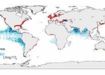 تغییر اقلیم مناطق کشنده اقیانوس را چهار برابر کرد