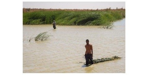 خشکی ۷۰ درصدی هامون با کارشکنی افغانستان