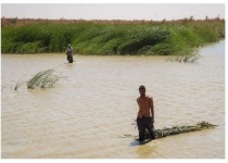 خشکی ۷۰ درصدی هامون با کارشکنی افغانستان