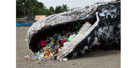  ذرات پلاستیک جان نهنگ ها را به خطر انداخت