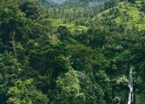 میزان تخریب جنگل آمازون در آستانه نقطه بی بازگشت