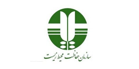  بیماری یک میلیون هکتار از جنگل‌های زاگرس، لزوم بازنگری جدی الگوی مصرف در کشور را توصیه می کند