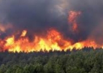 جنگل های گیلان در آتش سوختند