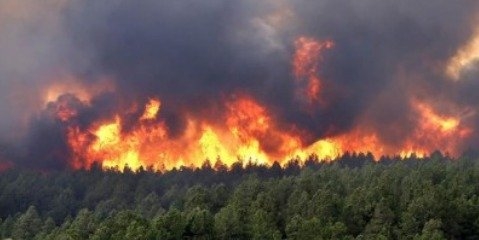 حریق در ۱۵۰ هکتار از منابع طبیعی شمال کشور در نوروز