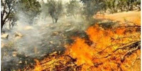 پیشنهاد لایحه ای برای ممنوعیت روشن کردن آتش در برخی مناطق کشور