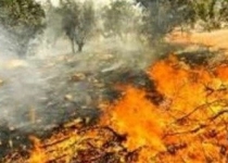 پیشنهاد لایحه ای برای ممنوعیت روشن کردن آتش در برخی مناطق کشور