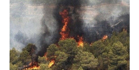 حریق جنگل‌ها با شروع فصل گرما بیشتر می شود