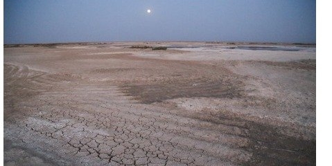 اراضی مستعد کشاورزی بخش دارخوین به شوره زار تبدیل شده است 