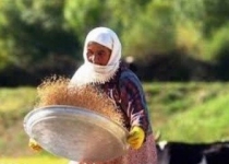 راهکاری برای معیشت روستایی پایدار در ایران