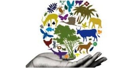 مراسم روز جهانی تنوع زیستی در سازمان محیط زیست برگزار شد