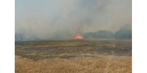 ۱۱ هکتار از اراضی میانکاله طی دو روز گذشته طعمه حریق شد