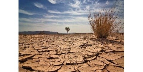 در ۴۰ سال گذشته خشکسالی در مناطق خاورمیانه بیشتر و طولانی‌تر شده است