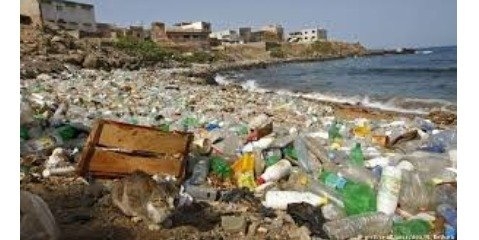 از سال 1950 تا 2012 حجم زباله‌های دریا از 1.7 میلیون تن به 278 تن رسیده است