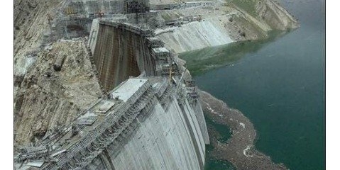 جنگل برای مدیران اهمیت ندارد